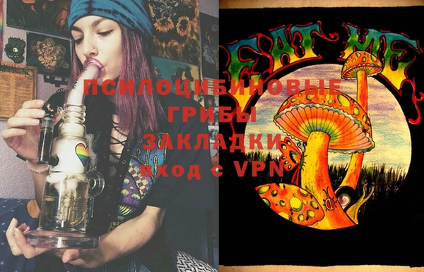 МДПВ Арсеньев